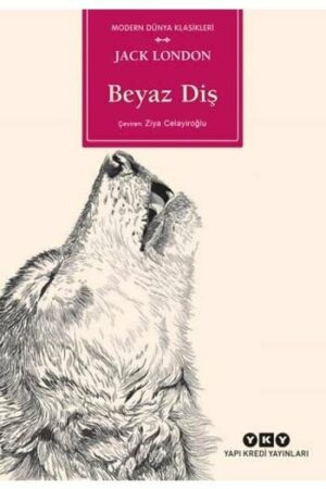 Yapı Kredi Yayınları 9789750843389