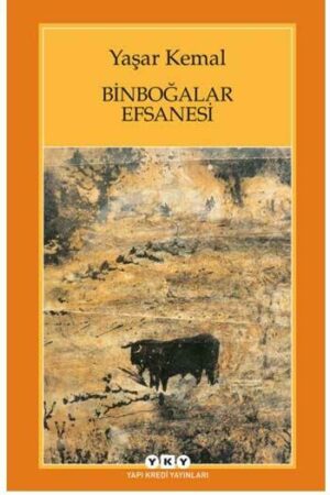 Yapı Kredi Yayınları 9789750807015