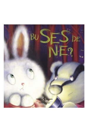 İş Bankası Kültür Yayınları 9786052956137