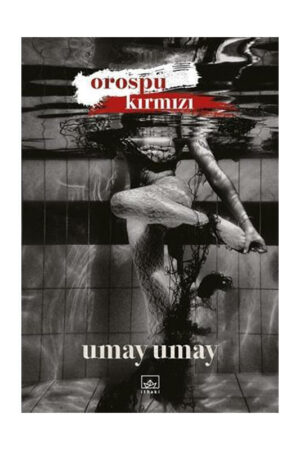 İthaki Yayınları 9786257650304