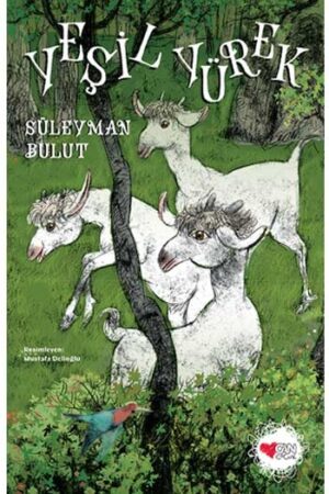 Can Çocuk Yayınları 9789750709449