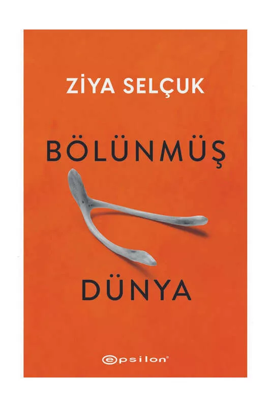 Epsilon Yayınevi 9786254144462