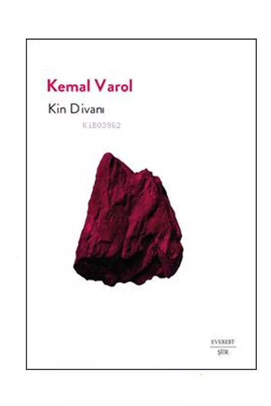 Everest Yayınları 9786253690595