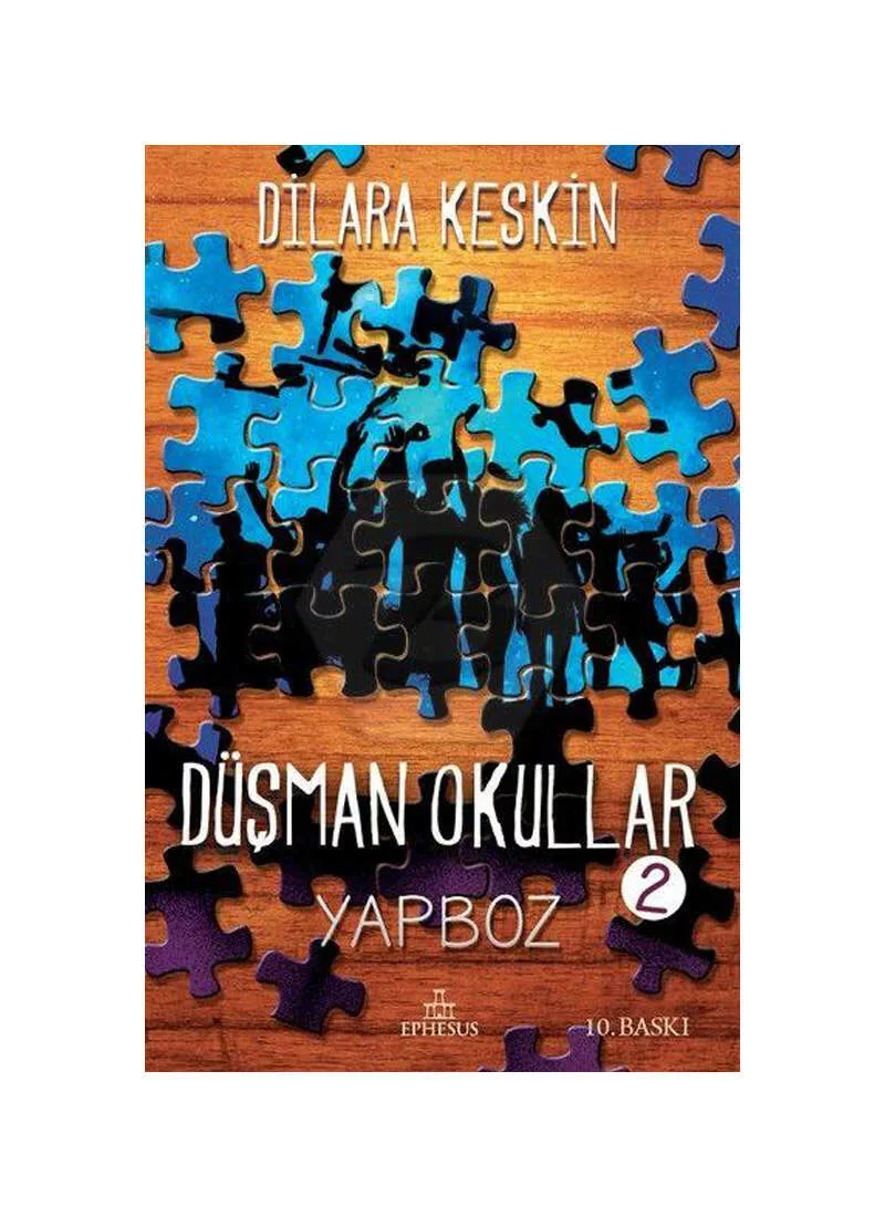 Ephesus Yayınları 9786052064696
