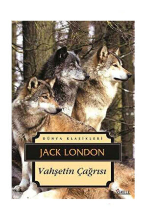 İskele Yayıncılık 9789759099251