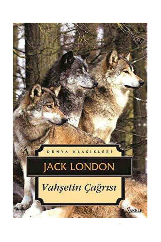 İskele Yayıncılık 9789759099251