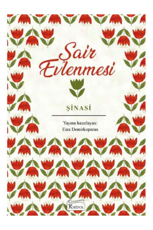 Koridor Yayıncılık 9786257781381