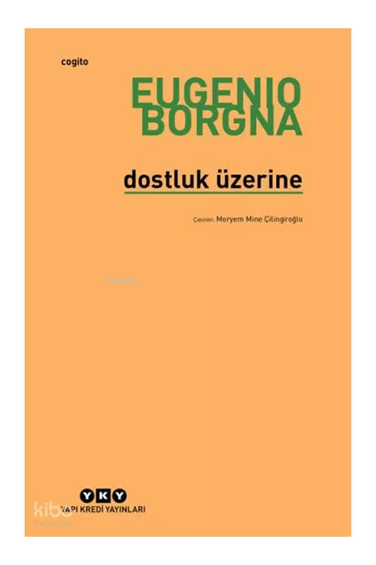 Yapı Kredi Yayınları Dostluk Üzerine